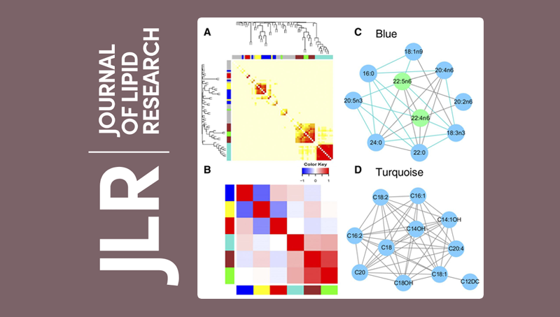林旭研究组在多不饱和脂肪酸与代谢综合征发病风险研究方面取得进展