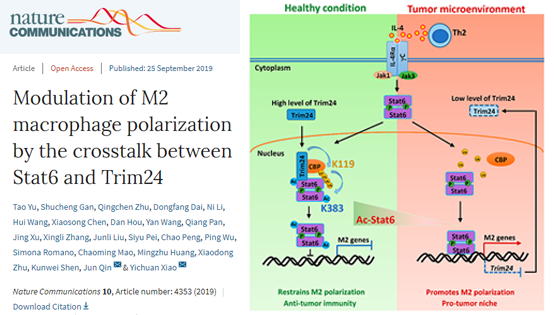 肖意传组合作发现Stat6乙?；骺乜怪琢雒庖叻从Φ男禄? />
                                    </div>
                                    <div   id=