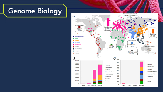 徐书华研究组发布全基因组单核苷酸变异数据库、涵盖近千个现存和古人族群