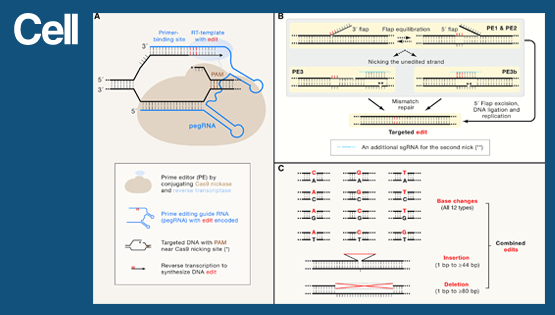中国科学院上海营养与健康研究所杨力组与上?？萍即笱Ш献骰锇樵?em>Cell</em> 杂志发表专评论文
