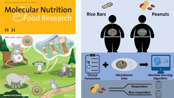 营养与健康所陈雁、林旭研究组利用肠道菌群分析和机器学习算法揭示精准营养在干预代谢综合征中的作用