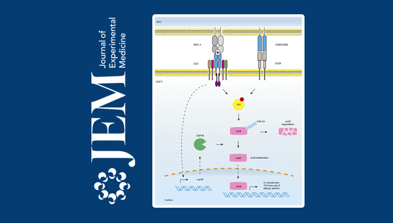 钱友存研究组报道调节哮喘发病的新机制