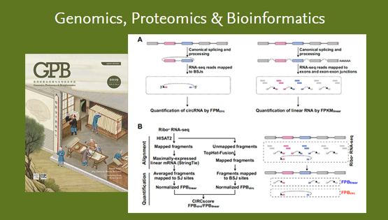 杨力研究组发布环形RNA与线性RNA定量比较新方法-CLEAR