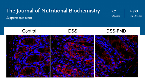 营养与健康所陈雁研究组发现改善炎症性肠?。↖BD）的营养干预方法