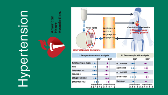 营养与健康所林旭、宗耕研究组在奶制品的脂质组生物标记物与心血管疾病风险因素研究方面取得进展