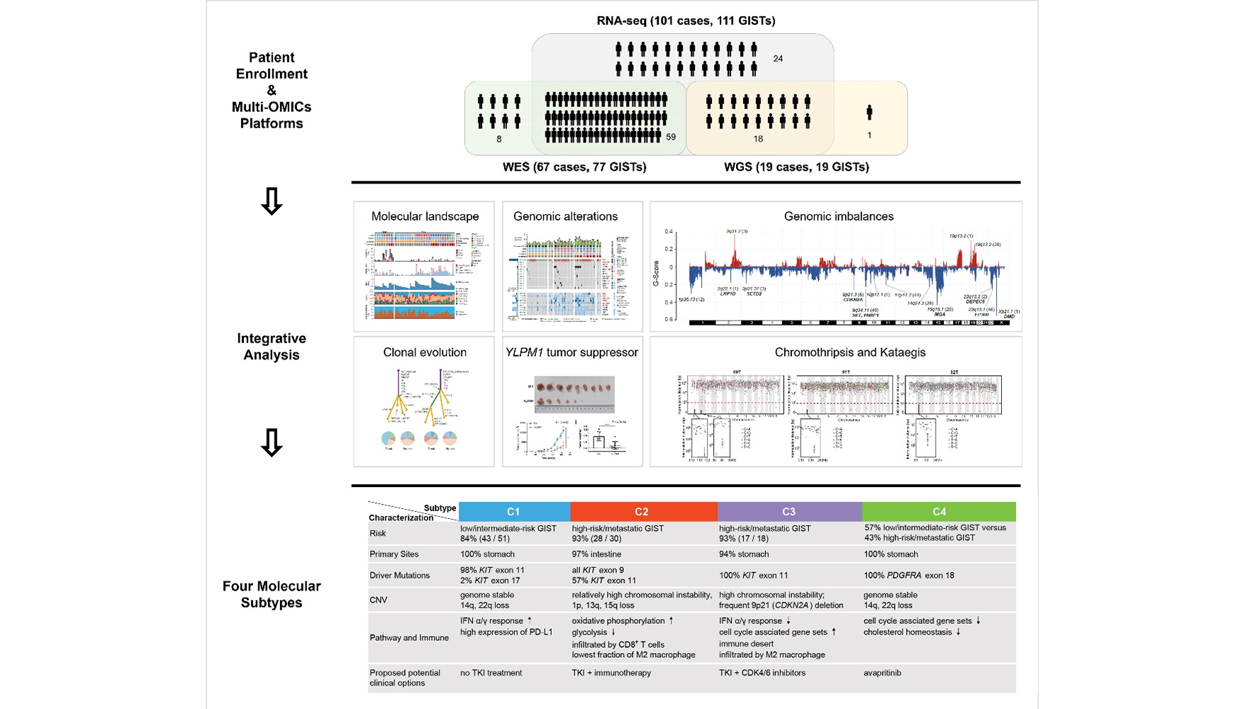 王跃祥研究组合作绘制胃肠间质瘤基因组和转录组图谱并提出新的分子分型
