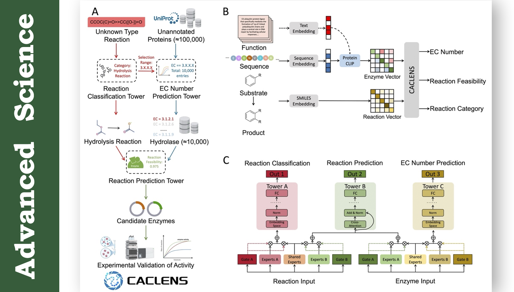 营养与健康所武爱波研究组构建多模态多任务酶筛选平台CACLENS